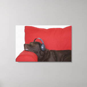 Tragende Kopfhörer Labradors, die auf Sofa liegen Leinwanddruck