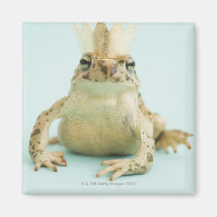 Tragende Krone des Frosches Magnet