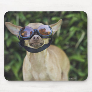 Tragende Schutzbrillen der Chihuahua Mousepad
