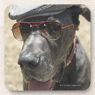 Tragender Hut und Sonnenbrille der Deutschen Dogge Untersetzer