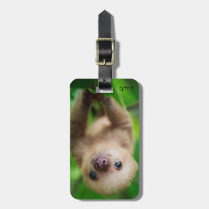 Trägheits-Gepäckanhänger Gepäckanhänger