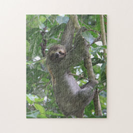 Trägheits-Puzzlespiel