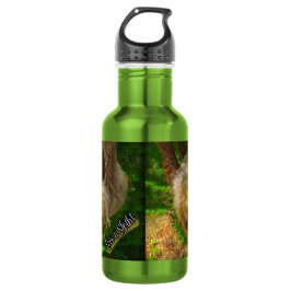 Trägheits-Regenwald-Wasser-Flasche Edelstahlflasche