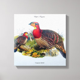 Tragopan, alias Horny Pheasant J.Gould Leinwand