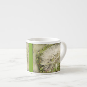 Tragopogon dubius - Gelber Ziegenbart Espressotasse