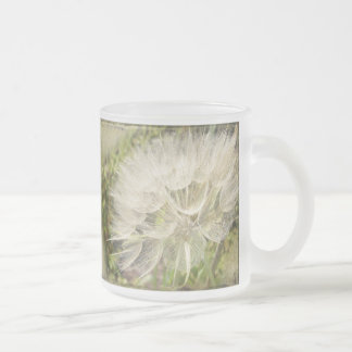 Tragopogon dubius - Gelber Ziegenbart Mattglastasse