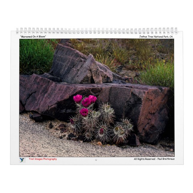 Trail Images Fotografy Calendar Kalender (Titelbild)