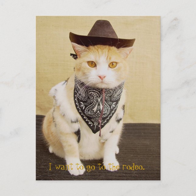 Trail Rider Bubba Postkarte (Vorderseite)