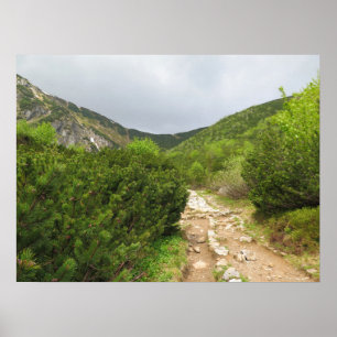 Trail - Tatras Slowakei Poster