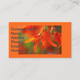 Trailing Orange Begonia Visitenkarte