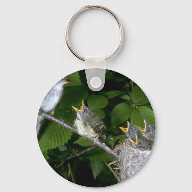 Traill's Flycatcher mit jung Schlüsselanhänger (Vorderseite)