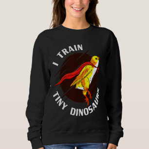 Train Tiny Dinosaurs Chicken Sweatshirt