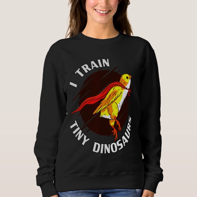 Train Tiny Dinosaurs Chicken Sweatshirt (Vorderseite)
