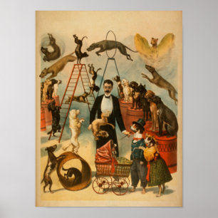 Trained Dog Act Theatrical Poster
