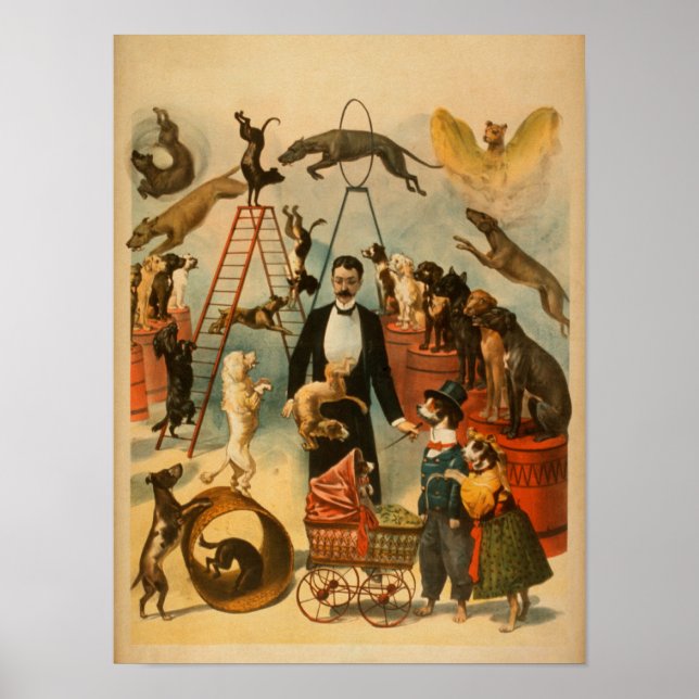 Trained Dog Act Theatrical Poster (Vorne)