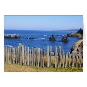 Traînée de Blufftop