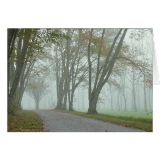 Traînée d'oiseau chanteur