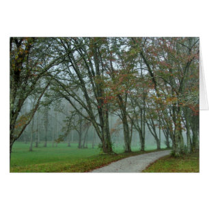 Traînée II d'oiseau chanteur