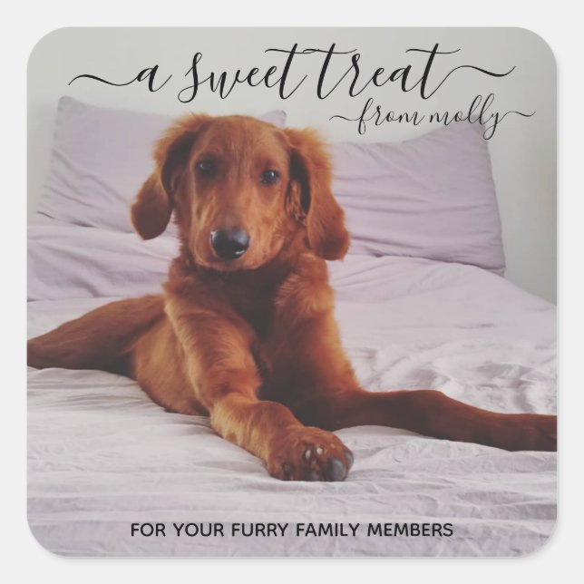 Traiter les autocollants Favoriser (Devant)