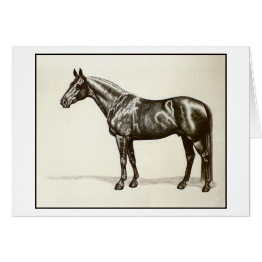 Trakehner Stallion Karte