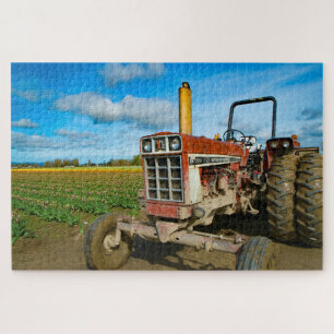 Traktor in den Tulip-Feldern