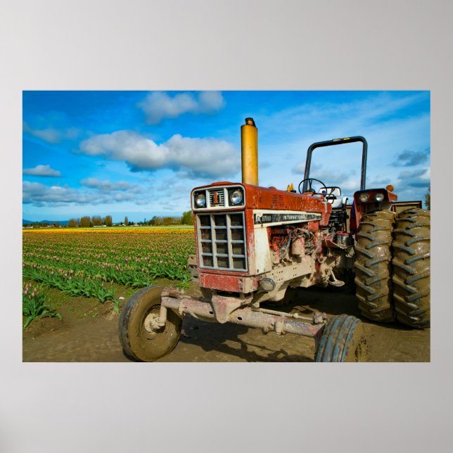 Traktor in den Tulip-Feldern Poster (Vorne)