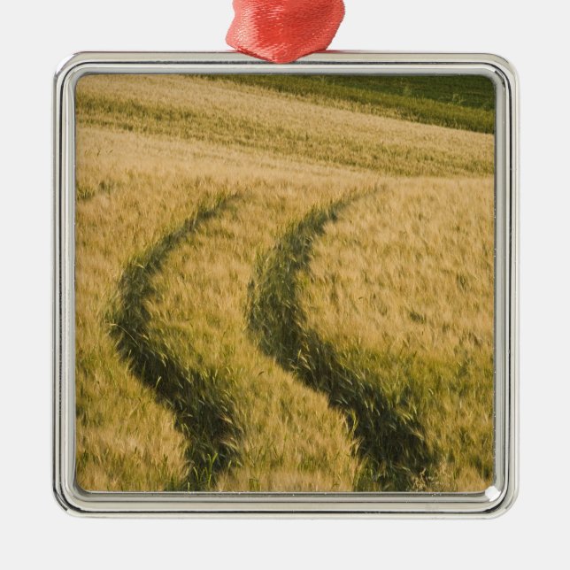 Traktoren durch Weizen, Toskana, Italien Silbernes Ornament (Vorne)