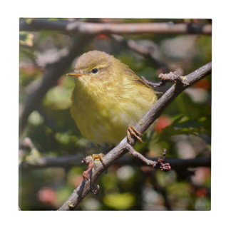 Trällerer Fliese/Trivet Fliese