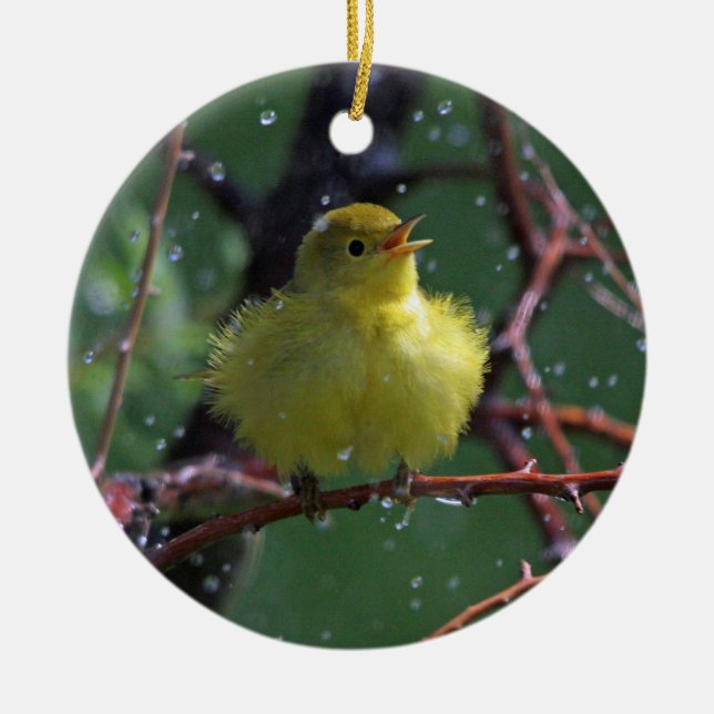 Trällerer Keramikornament (Vorne)
