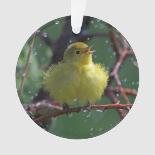 Trällerer Ornament