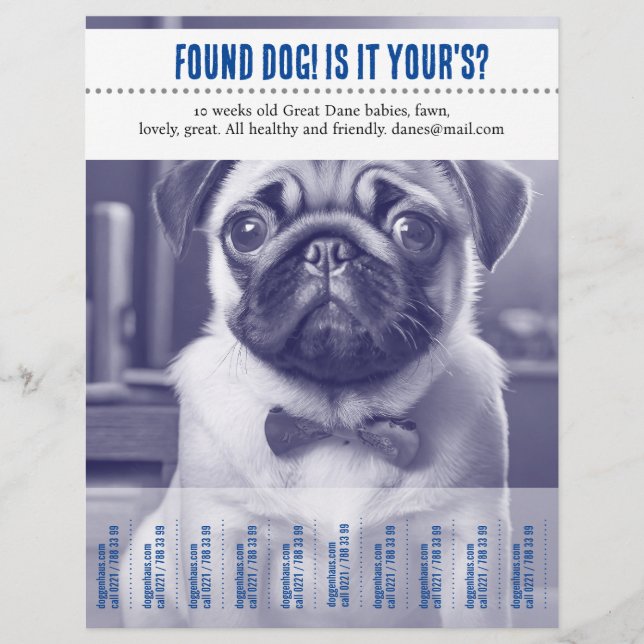 Träne Off-Flyer Flyer (Vorne)