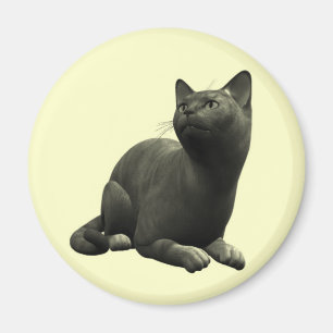Tranquil Black Cat Magnet