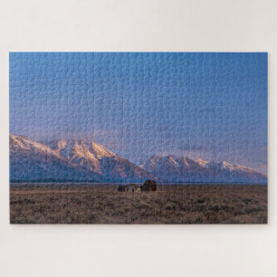 Tranquil Grand Tetons