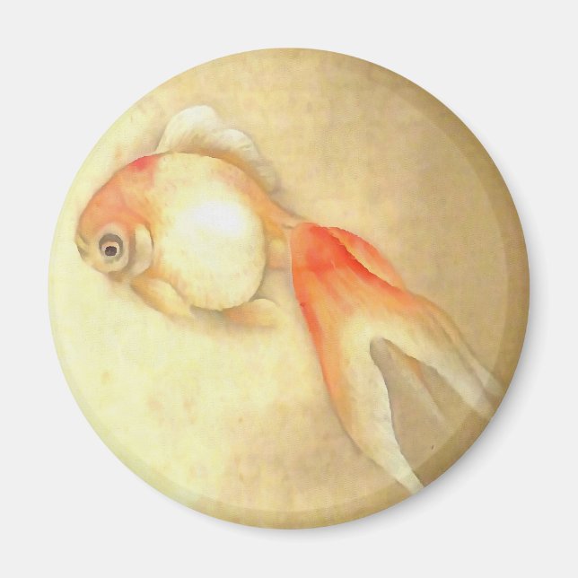 Tranquil Japanischer Goldfish Magnet (Vorne)