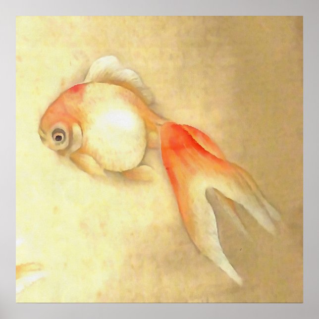 Tranquil Japanischer Goldfish Poster (Vorne)