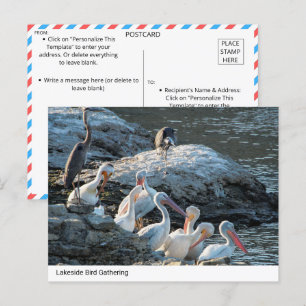 Tranquil Seeufer Ansammlung - Natur Postkarte