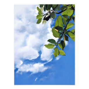 Tranquil Sky und Leav Fotodruck