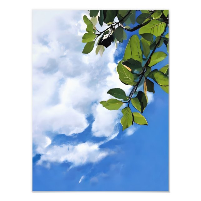 Tranquil Sky und Leav Fotodruck (Vorne)