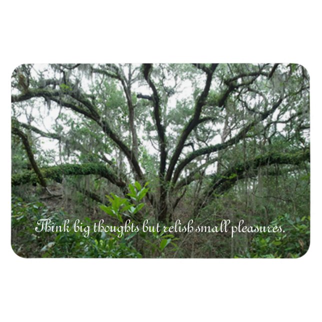 Tranquil Tree Magnet (Horizontal)