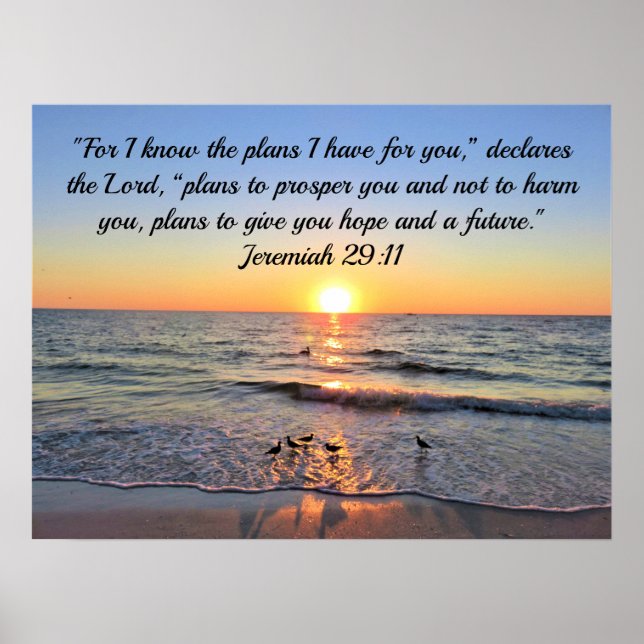 TRANQUIL UND CALM JEREMIAH 29:11 SONNENREISE POSTER (Vorne)