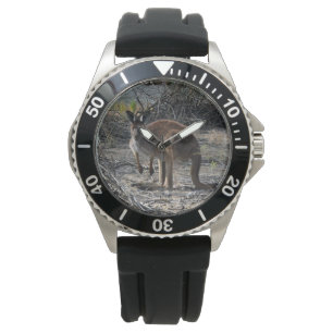 Tranquisiter Moment: Australisches Kangaroo in Bil Armbanduhr