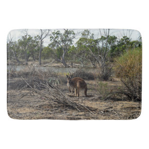 Tranquisiter Moment: Australisches Kangaroo in Bil Badematte