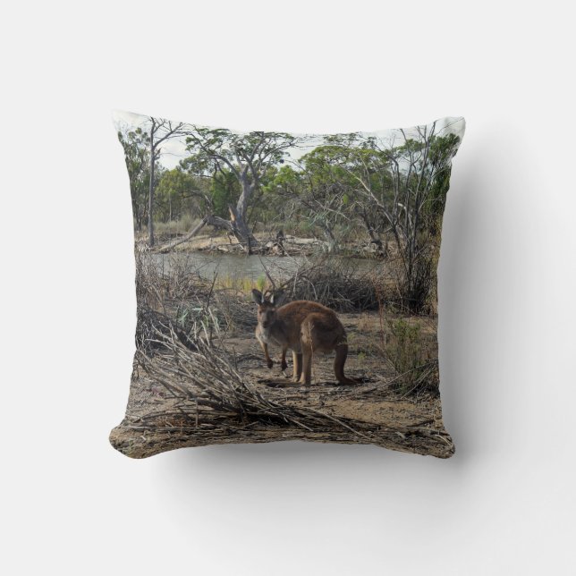 Tranquisiter Moment: Australisches Kangaroo in Bil Kissen (Vorderseite)