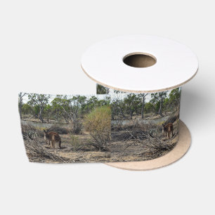 Tranquisiter Moment: Australisches Kangaroo in Bil Satinband