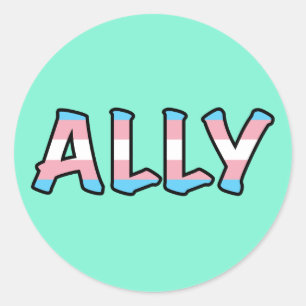 Trans Ally Hintergrund der Minze Runder Aufkleber