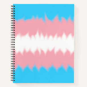 Trans Flagge Notizbuch