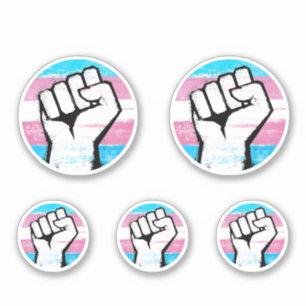 Trans Pride Circle Print Aufkleber