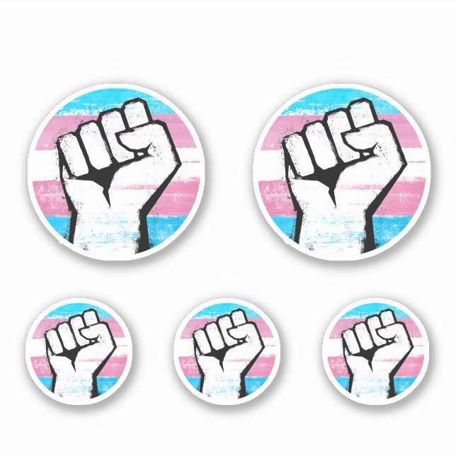 Trans Pride Circle Print Aufkleber (Vorderseite)