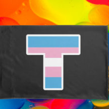 "Trans Pride Hauptstadt T Pillowcase Set