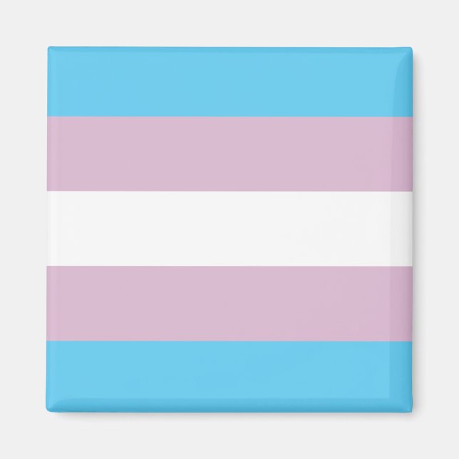 Trans-Pride-Magnet Magnet (Vorne)